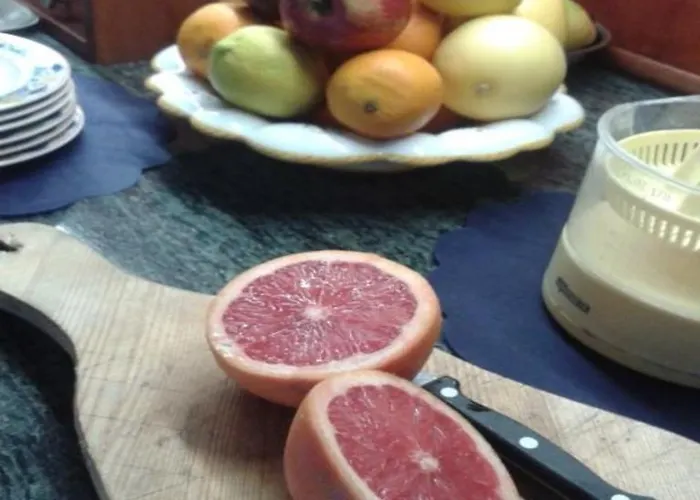 酒店 多瑙河酒店